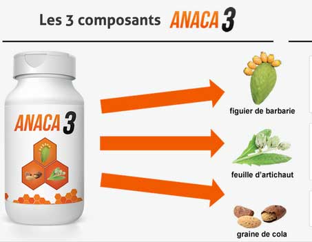 Les 3 composants d'anaca3