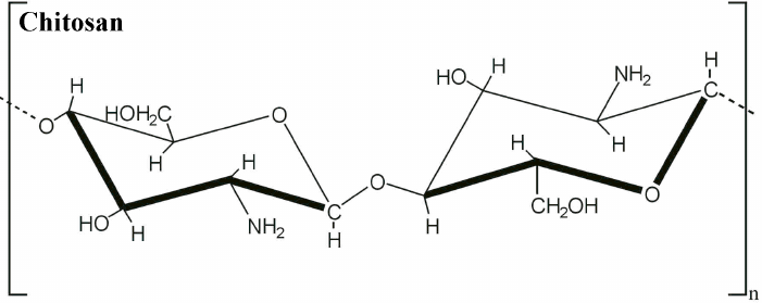 Comment perdre du poids avec le chitosan ?