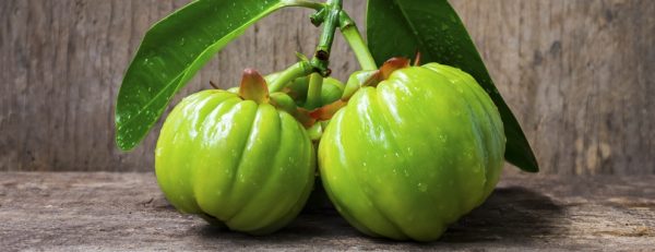 Quels sont les effets du Garcinia Cambogia ?