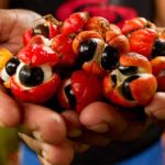 Quels sont les principales propriétés naturelles du guarana ?