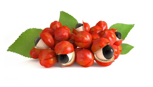 Quels sont les effets amincissants du guarana ?