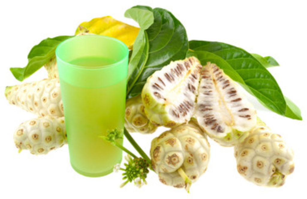 Suco de Noni benefícios, dosagem e propriedades desta fruta tropical