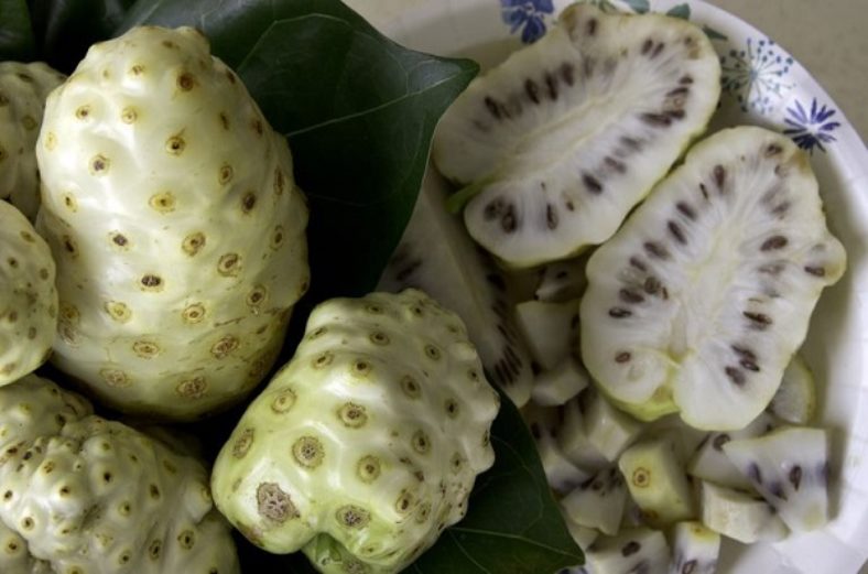 Jus de noni : tous les bienfaits de ce fruit tropical ... Jus de noni : tous les bienfaits de ce fruit tropical ...