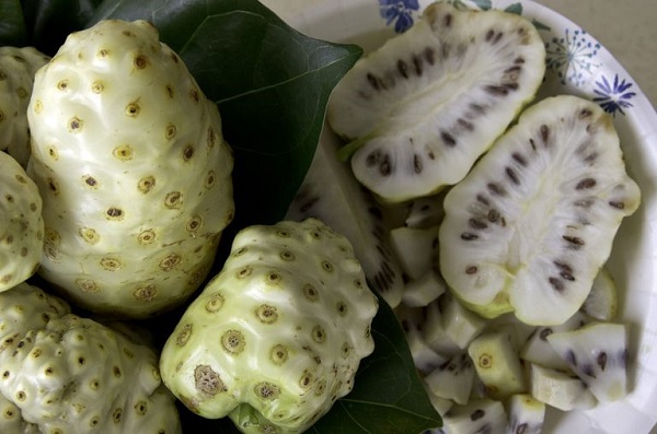 noni un fruit miracle