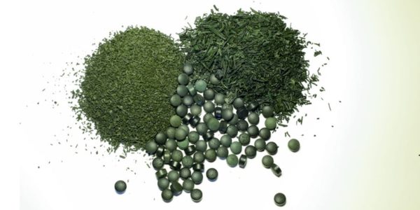 Quels sont les nutriments contenus dans la spiruline ?