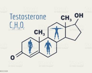 Formule chimique Testosterone