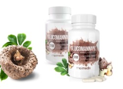 J’ai testé Konjac : avis, témoignages et opinions après 15 semaines