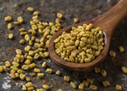 Quels sont les bienfaits du fenugrec et comment le consommer ?