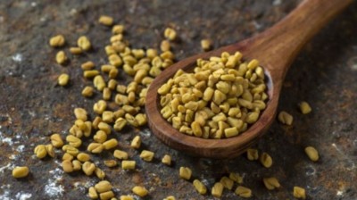 Quels sont les bienfaits du fenugrec et comment le consommer ?