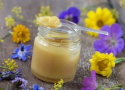 Gelée royale avis : posologie, bienfaits, opinion et impressions sur ce super aliment