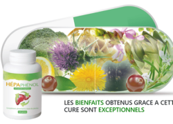 Avis Hepaphenol : notre opinion et les témoignages des utilisateurs