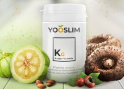 Yooslim avis : nos impressions et l’opinion des utilisateurs